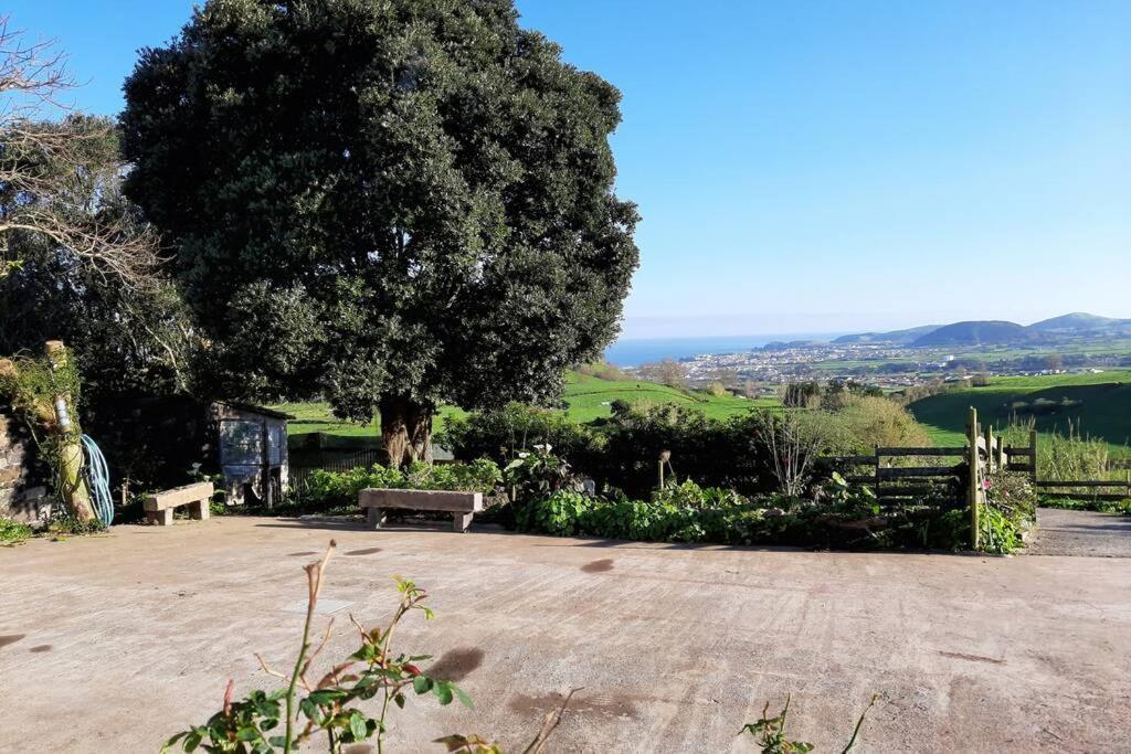 Casa Da Mediana Apartman Ribeira Grande Kültér fotó